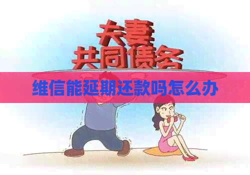 维信能延期还款吗怎么办