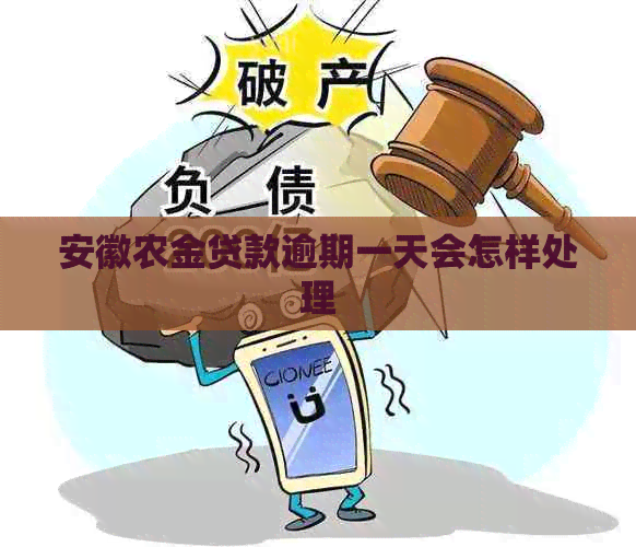 安徽农金贷款逾期一天会怎样处理