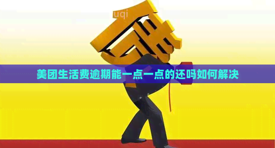 美团生活费逾期能一点一点的还吗如何解决