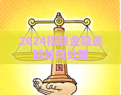 2024招联金融逾期如何处理