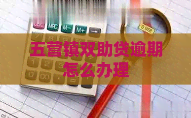 五营镇双助贷逾期怎么办理