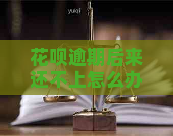白条逾期后来还不上怎么办