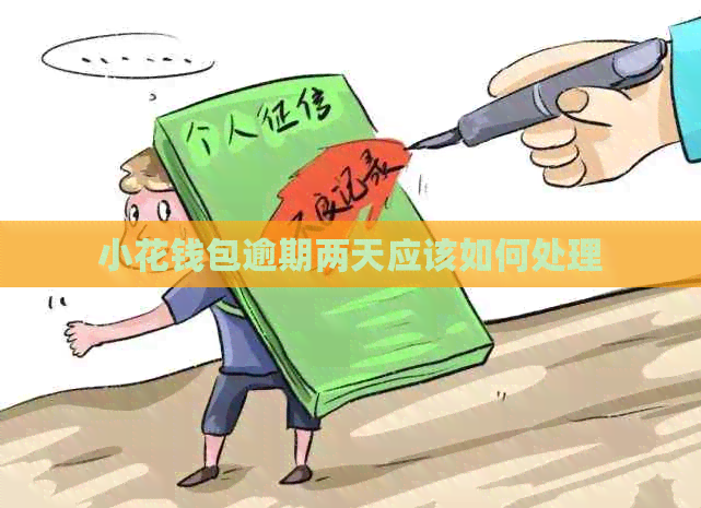 小花钱包逾期两天应该如何处理