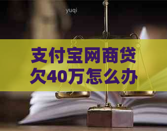 信用卡白条贷欠40万怎么办