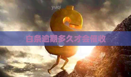白条逾期多久才会