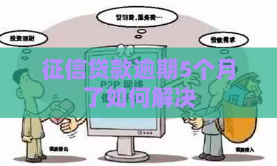 贷款逾期5个月了如何解决