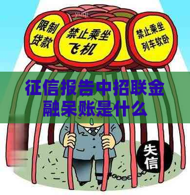 报告中招联金融呆账是什么