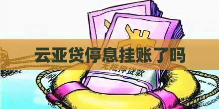 云亚贷停息挂账了吗