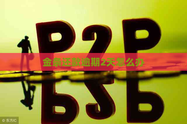 金条还款逾期2天怎么办