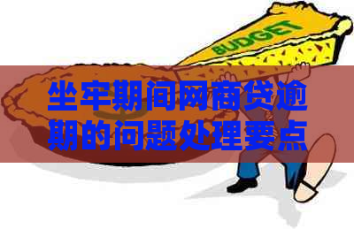 坐牢期间白条贷逾期的问题处理要点及条件