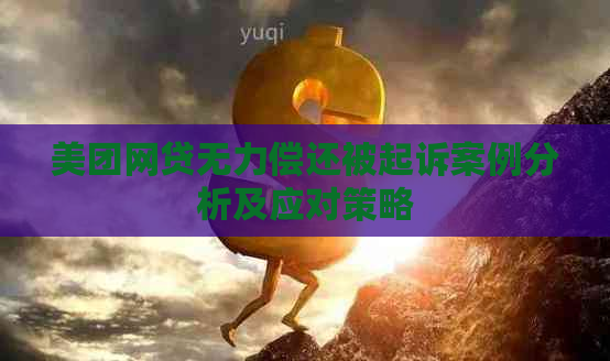 美团网贷无力偿还被起诉案例分析及应对策略