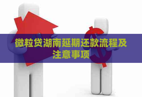 微粒贷湖南延期还款流程及注意事项