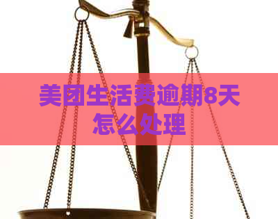美团生活费逾期8天怎么处理