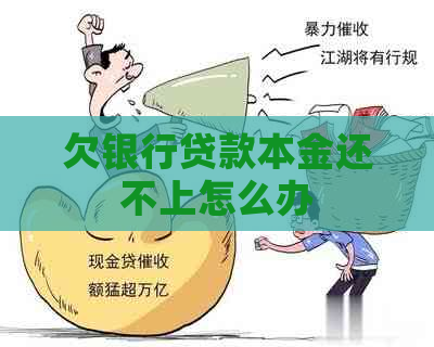 欠银行贷款本金还不上怎么办