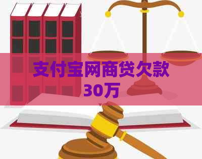信用卡白条贷欠款30万