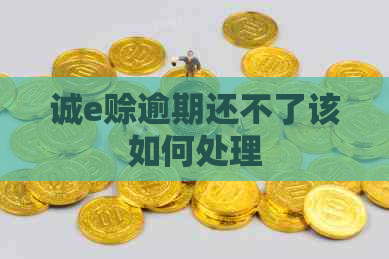 诚e赊逾期还不了该如何处理