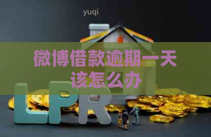 微博借款逾期一天该怎么办