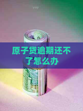 原子贷逾期还不了怎么办