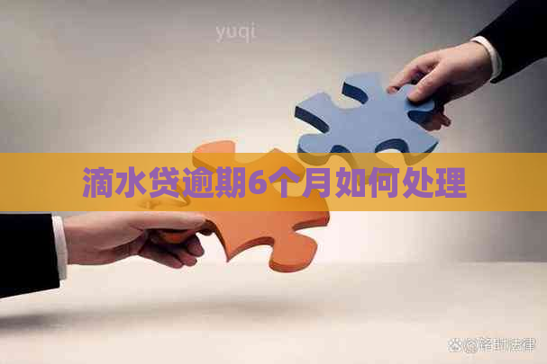 滴水贷逾期6个月如何处理