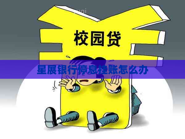 星展银行停息挂账怎么办