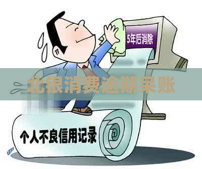 北银消费逾期呆账