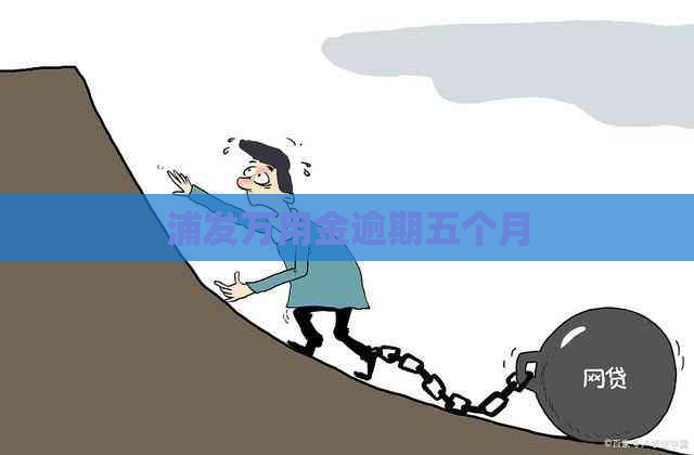 浦发万用金逾期五个月