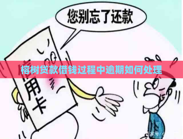 榕树贷款借钱过程中逾期如何处理