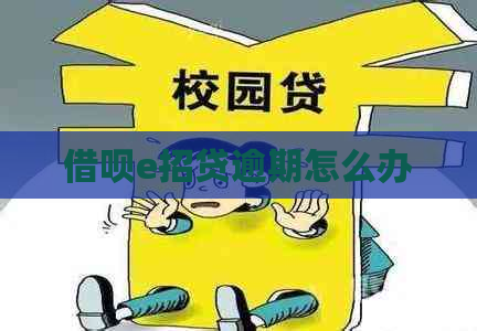 信用卡e招贷逾期怎么办