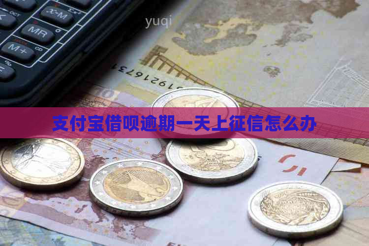 信用卡信用卡逾期一天上怎么办