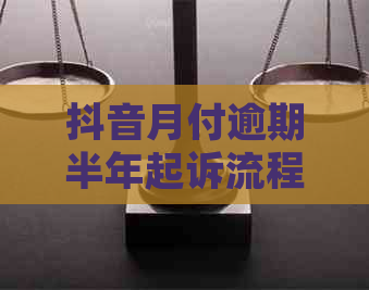 抖音月付逾期半年起诉流程