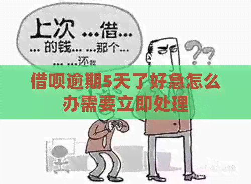 信用卡逾期5天了好急怎么办需要立即处理