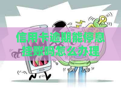 信用卡逾期能停息挂账吗怎么办理