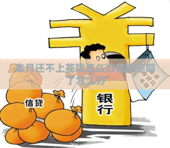 本月还不上白条怎么办白条逾期了怎么办