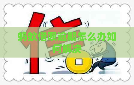 蚂蚁信用卡逾期怎么办如何解决