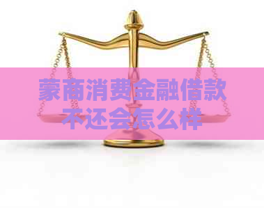 蒙商消费金融借款不还会怎么样