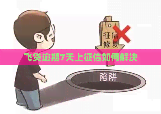 飞贷逾期7天上如何解决