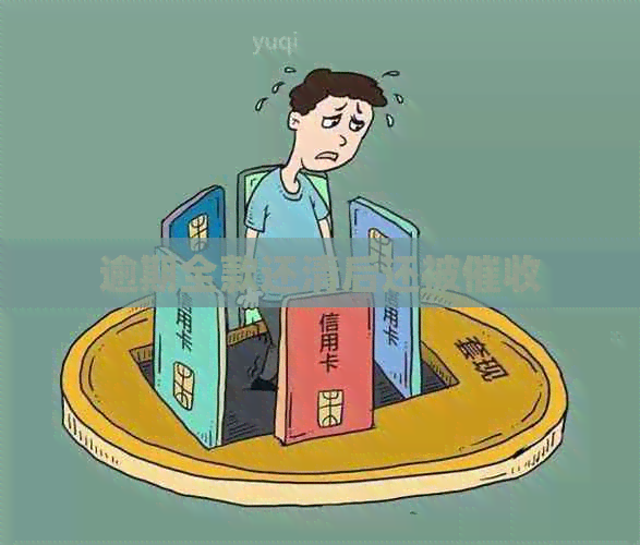 逾期全款还清后还被