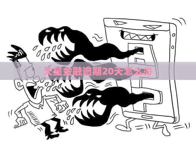 天星金融逾期20天怎么办