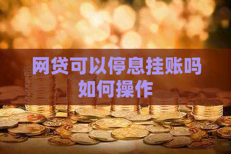 网贷可以停息挂账吗如何操作