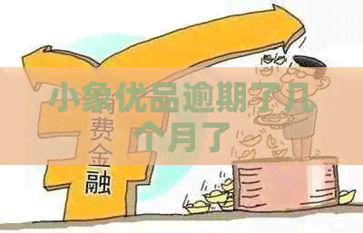 小象优品逾期了几个月了