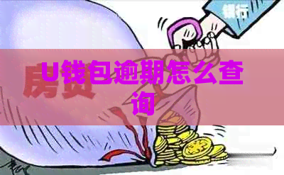 U钱包逾期怎么查询