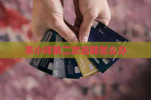 羊小咩第二次逾期怎么办