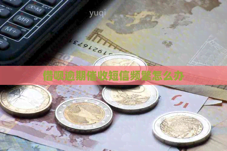 信用卡逾期短信频繁怎么办