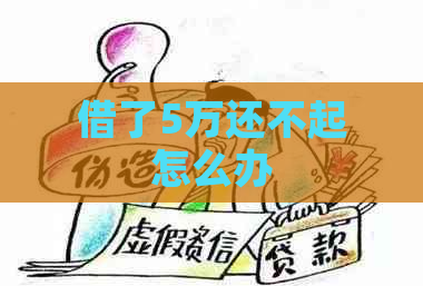 借了5万还不起怎么办