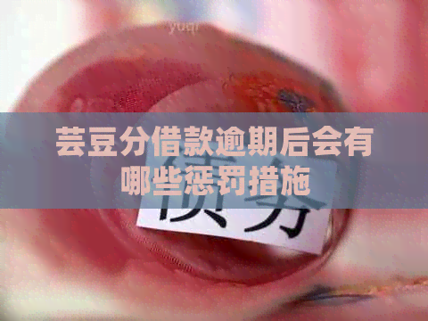 芸豆分借款逾期后会有哪些惩罚措施