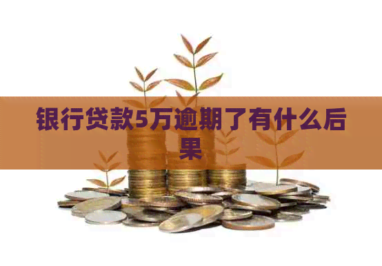 银行贷款5万逾期了有什么后果
