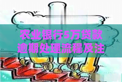 农业银行5万贷款逾期处理流程及注意事项