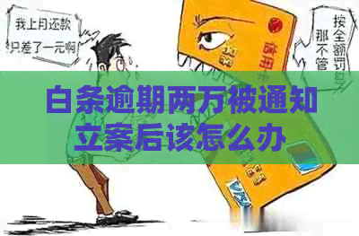 白条逾期两万被通知立案后该怎么办
