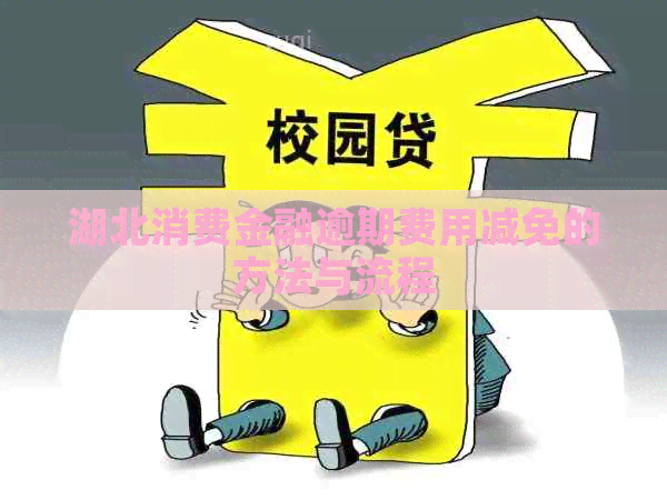 湖北消费金融逾期费用减免的方法与流程