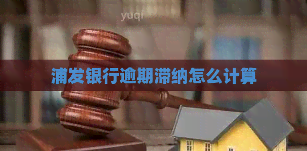 浦发银行逾期滞纳怎么计算